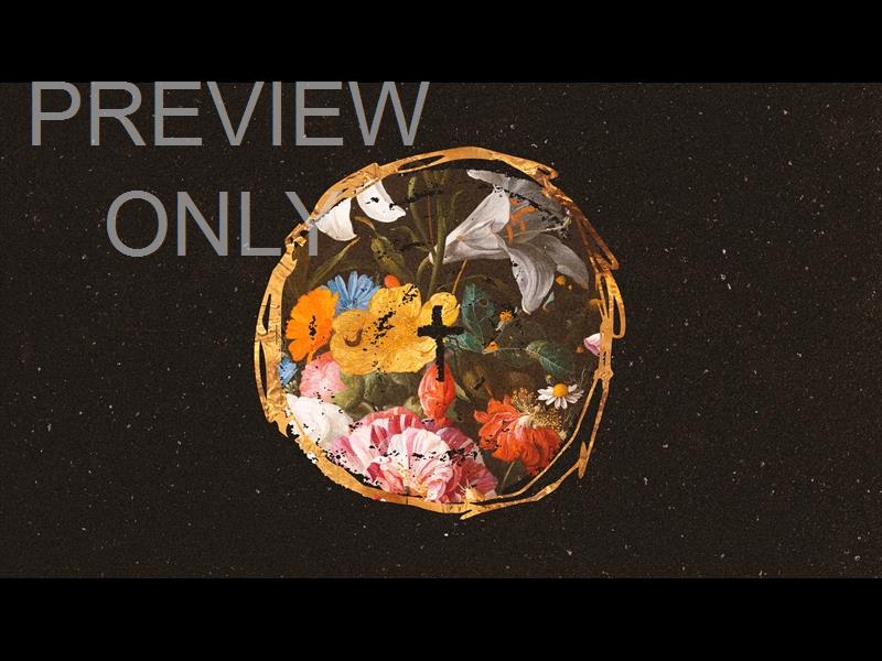 A Cross A Grave A Hope: 14 Still