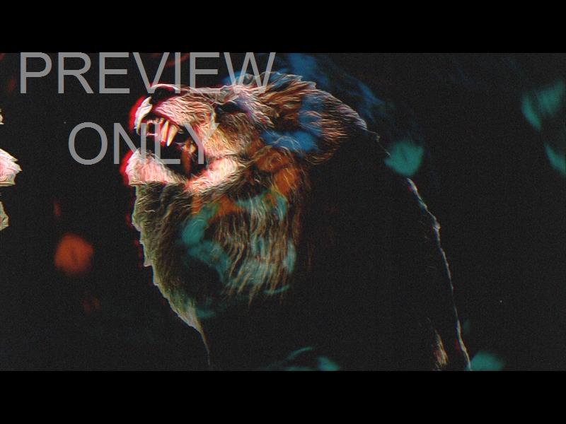 Bible Animals Lion Still
