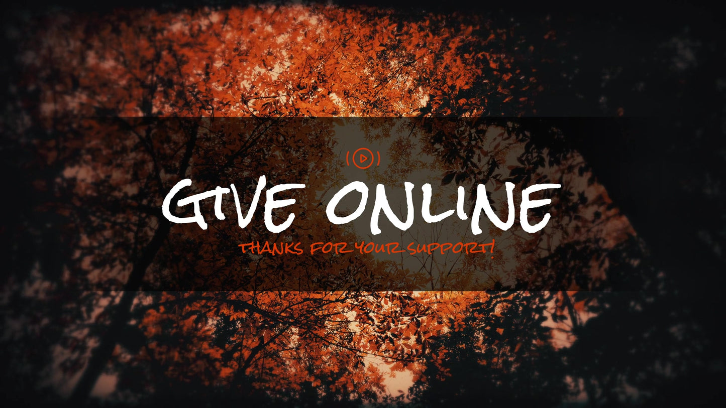 Autumn Fire Give Stream Still