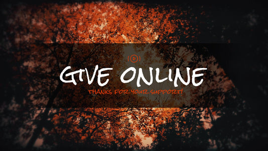 Autumn Fire Give Stream Still