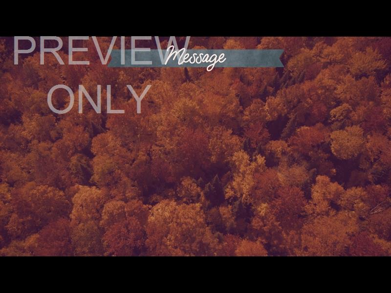 Epic Autumn Aerial Message