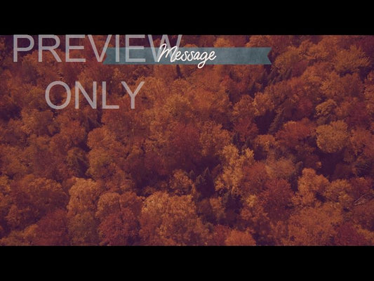 Epic Autumn Aerial Message