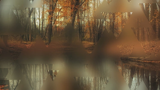 Autumn Journey 02