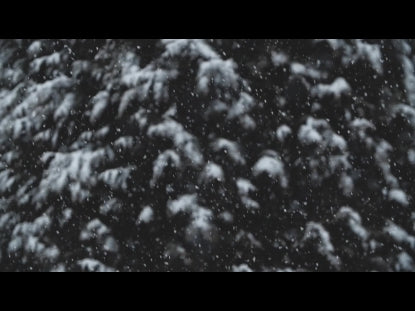 Snow Falling Welcome