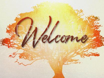 Tree Of Life Welcome Still