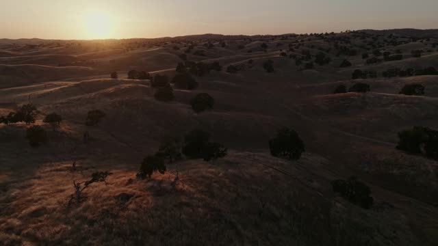 Golden Pastures Motion Background 13