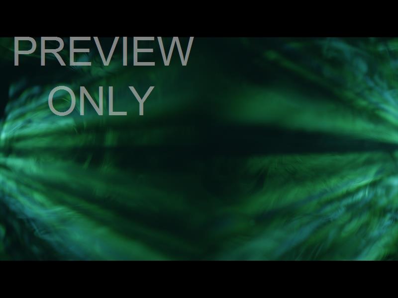 Illumine Green Teal Reflections