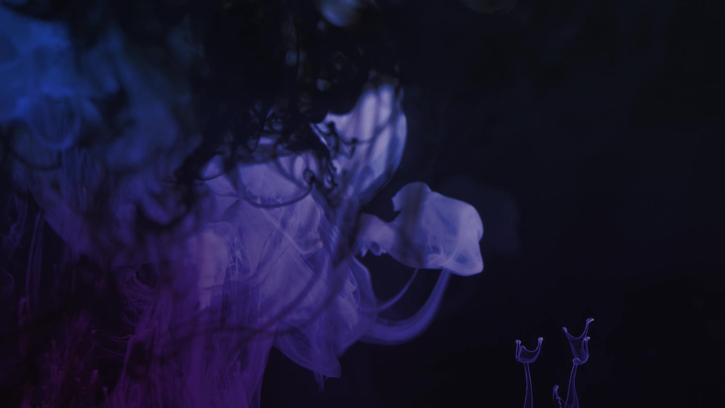 Ink Rise Lavender Still