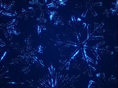 Sparkle Snowflakes