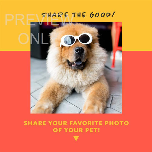 Share Good Pets