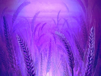 Harvest Sowing 6 Motion