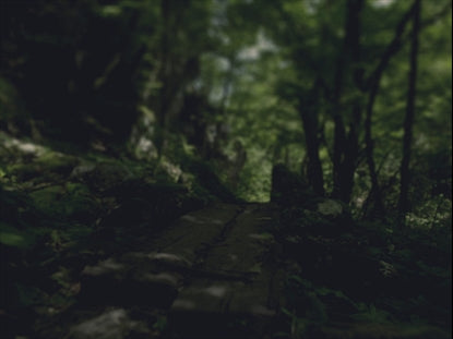 On The Path