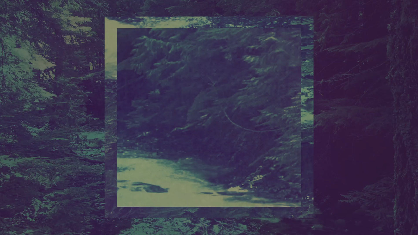 Creation Sings 4 Still