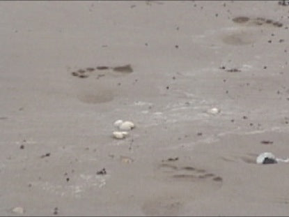 Footprints