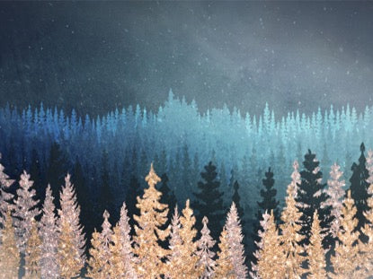 Christmas Sparkle 6