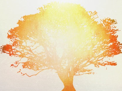 Tree Of Life Orange 1 Motion