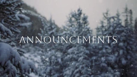 Snow Shimmer: Announcements