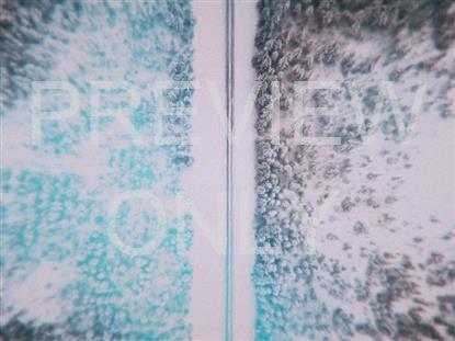 Aerial Snow 6