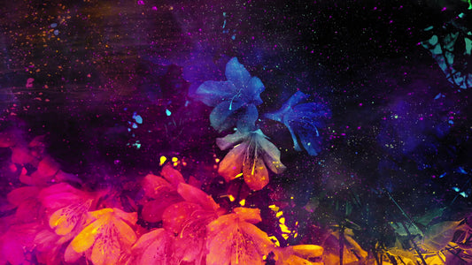 Vibrant Mothers Day Still 02