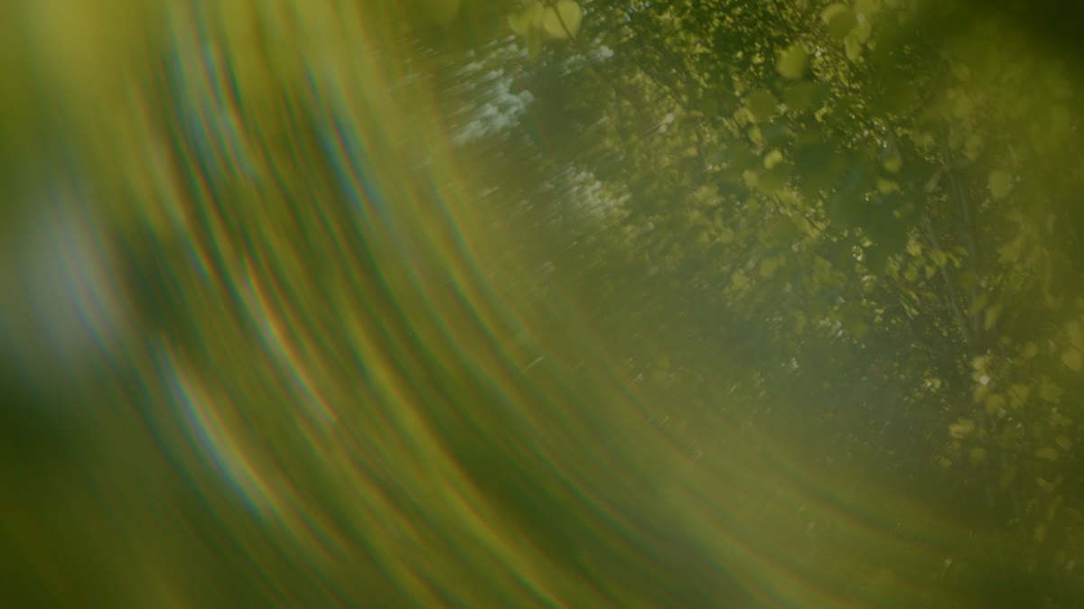 Like A Tree Still 01