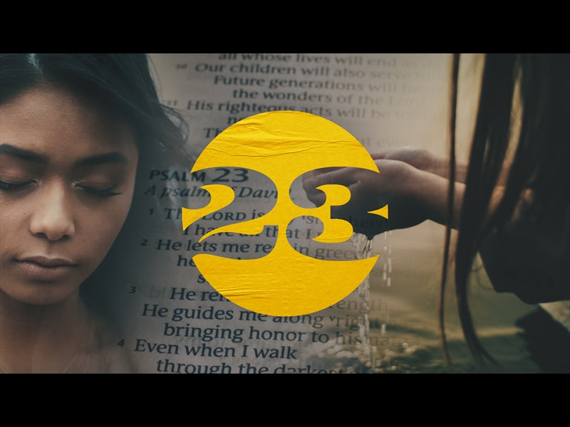 23