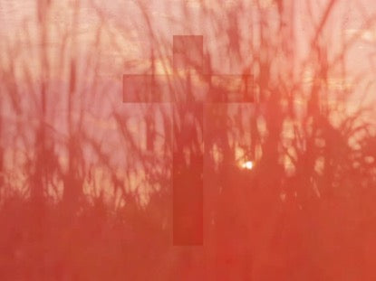 High Fashion Nature 7 With Cross