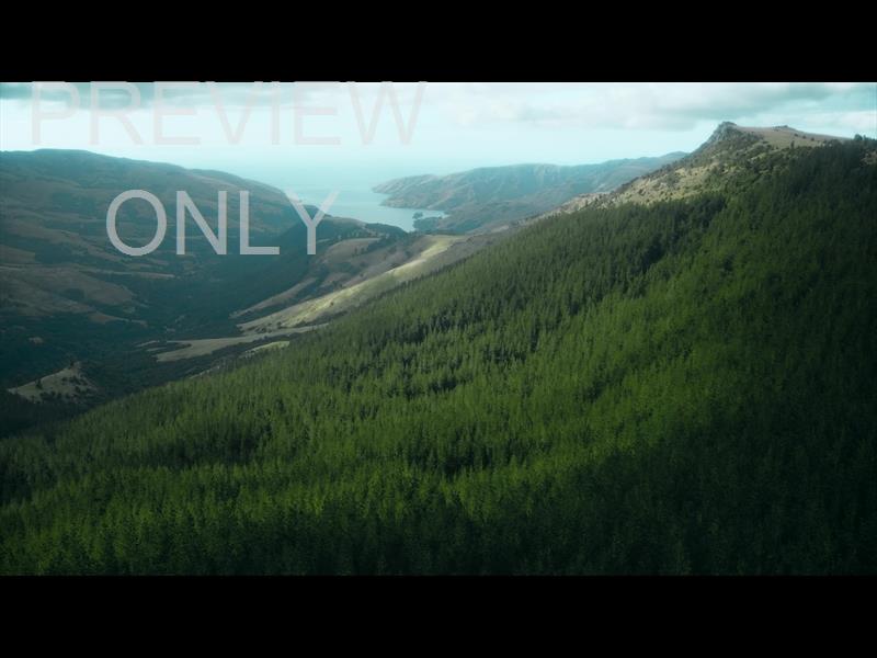 Aerial Bliss 2 Still