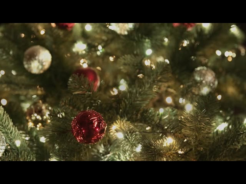 Christmas Lights Ii: 05