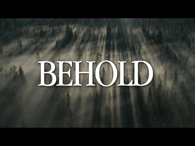 Behold