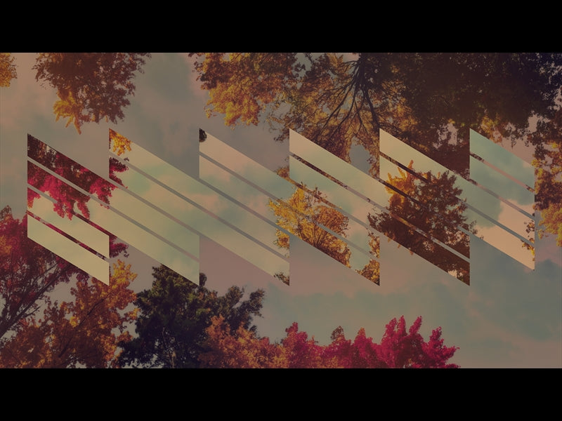 Fall Trees 5 Remix