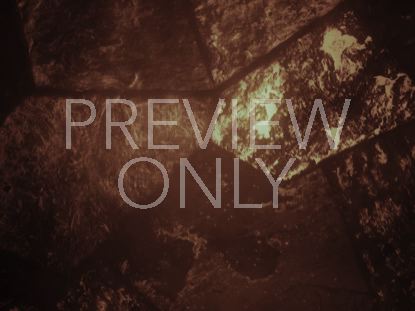 Stained Glass Still 4