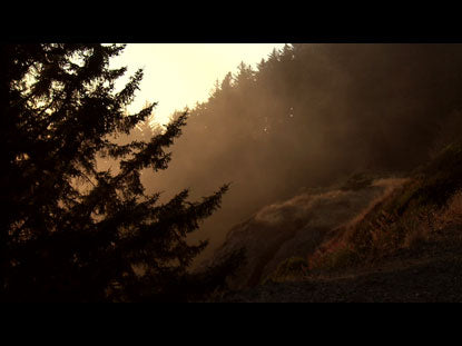 Sun Fog 2