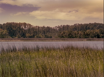 Tidelands 8