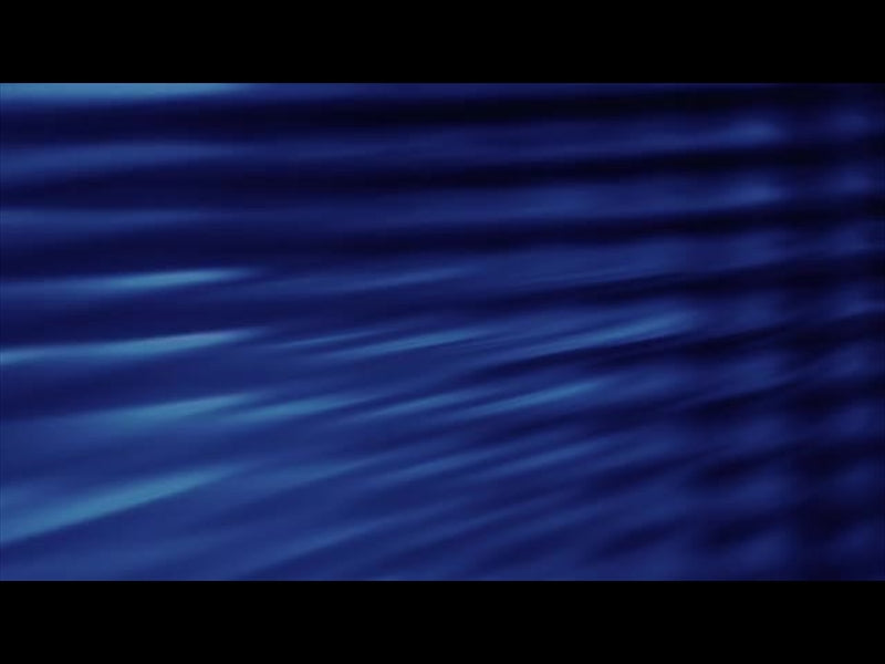 Aqua Scales 8