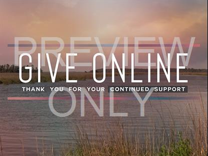 Tidelands Give Online Still