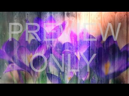 Floral Fusion 3 Graphic
