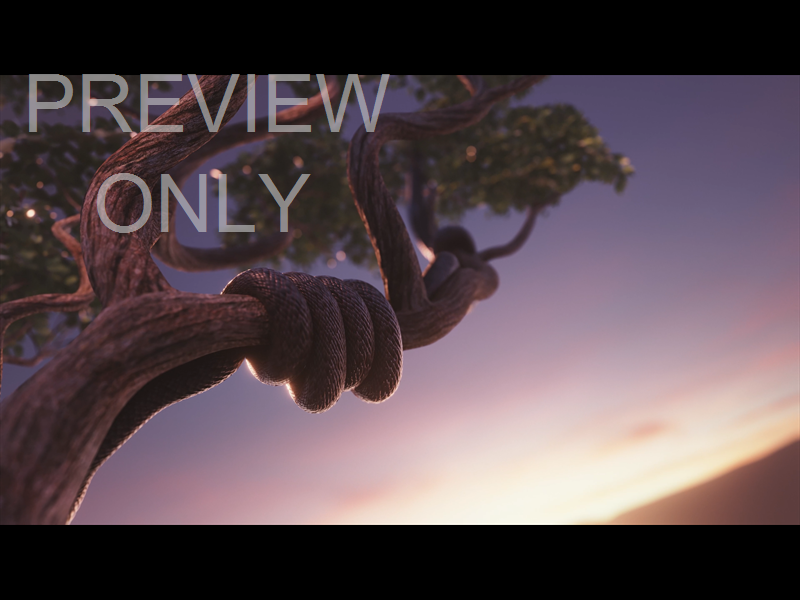 His Plan Is Perfect: Still 08