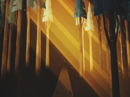 Winter Light Forest Rays