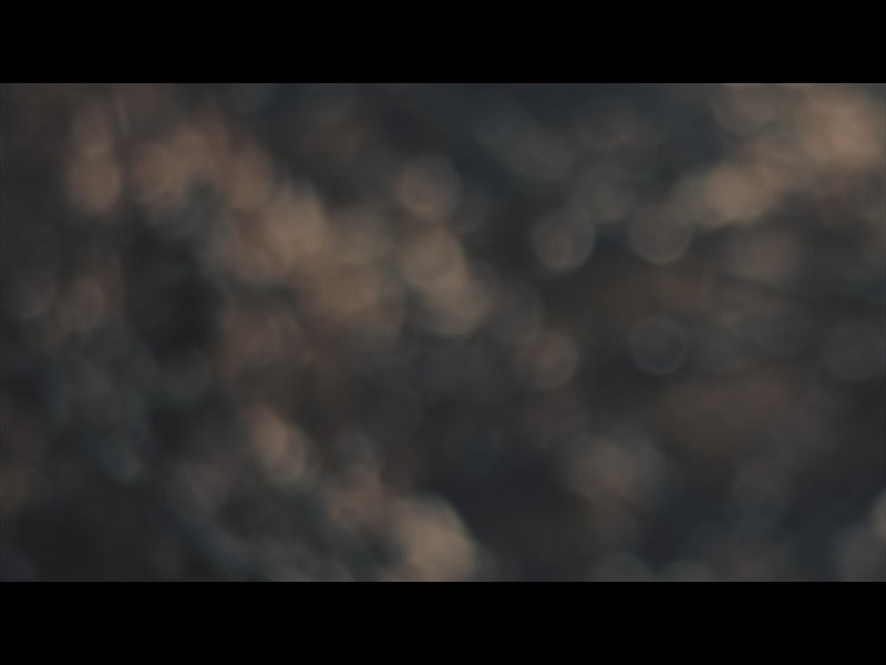 Be Still Loop 03