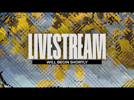 This Autumn Livestream