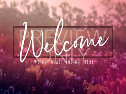 Wildflower Welcome Still