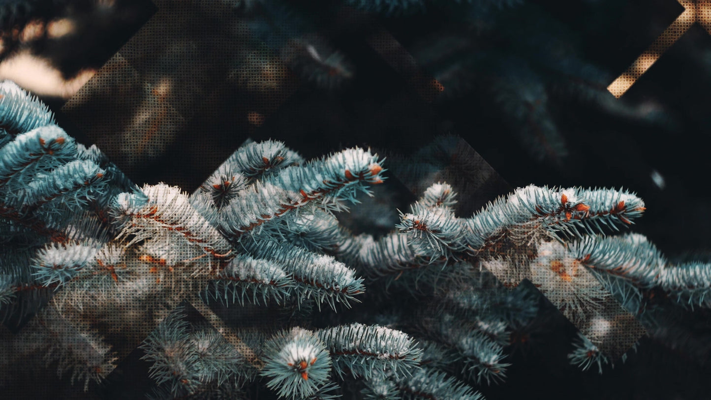 Rustic Christmas 04
