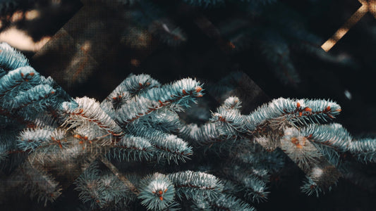 Rustic Christmas 04 Still