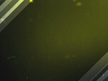 Dust Lines Yellow