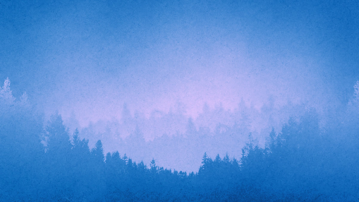Timberline Still 02
