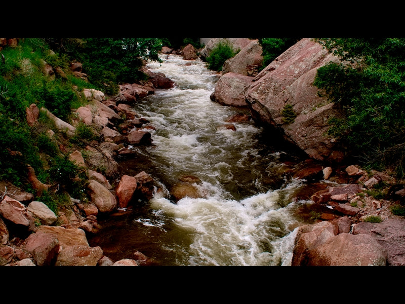 El Dorado Motion 1
