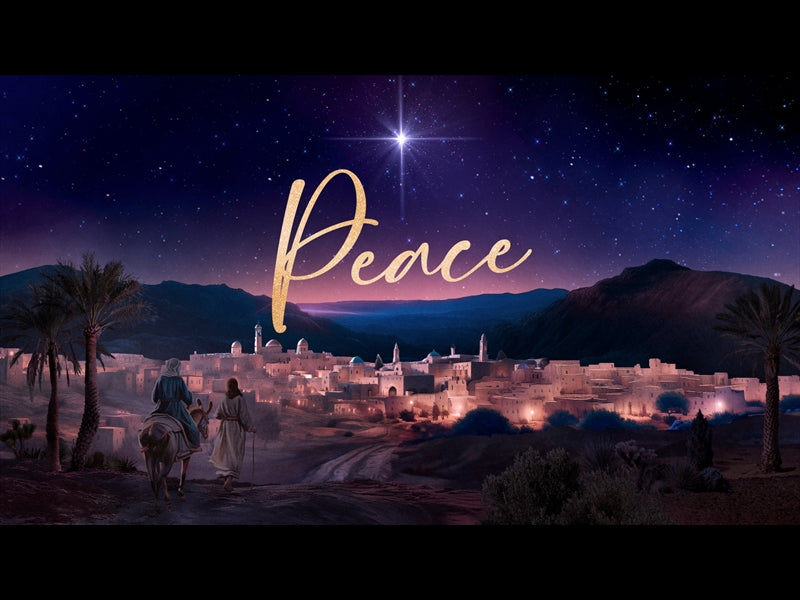 Christmas Journey Peace