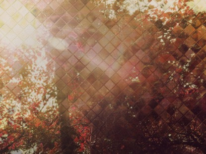 Fall Flare 2 Motion