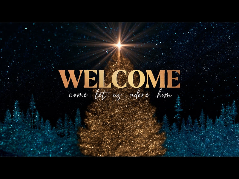 Sparkling Christmas Welcome