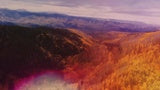 Thanksgiving Flight Valley